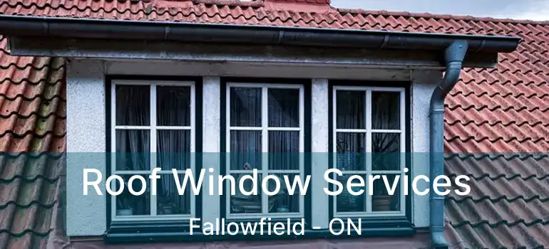  Roof Window Services Fallowfield - ON