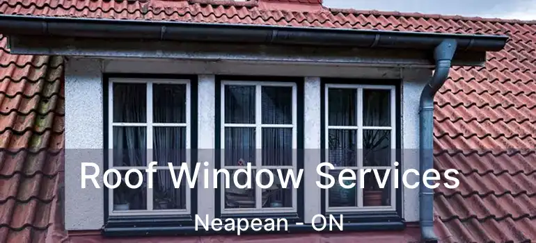 Roof Window Services Neapean - ON
