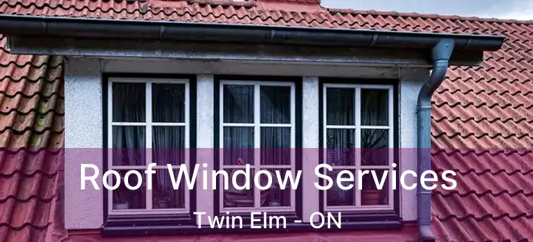  Roof Window Services Twin Elm - ON