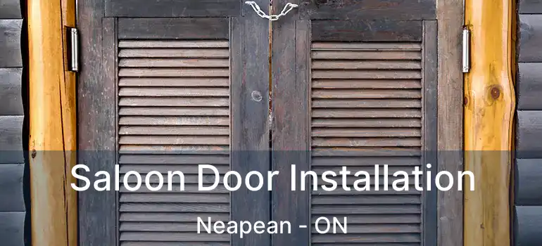 Saloon Door Installation Neapean - ON