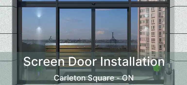  Screen Door Installation Carleton Square - ON