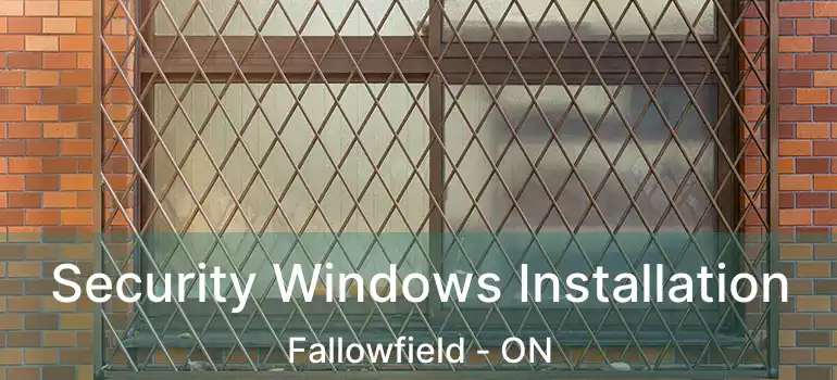  Security Windows Installation Fallowfield - ON