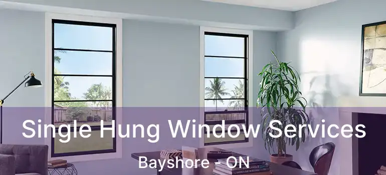 Single Hung Window Services Bayshore - ON