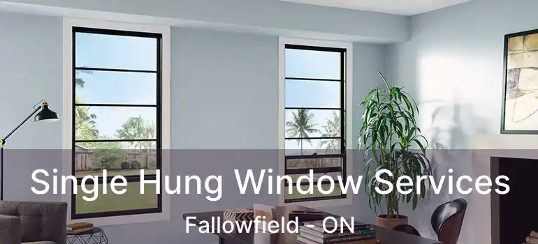  Single Hung Window Services Fallowfield - ON