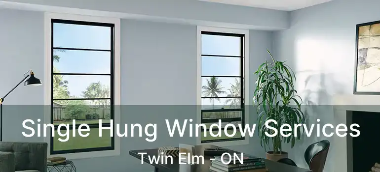  Single Hung Window Services Twin Elm - ON