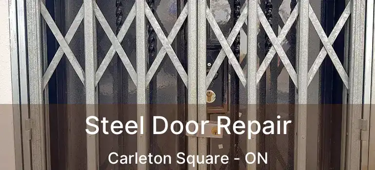  Steel Door Repair Carleton Square - ON