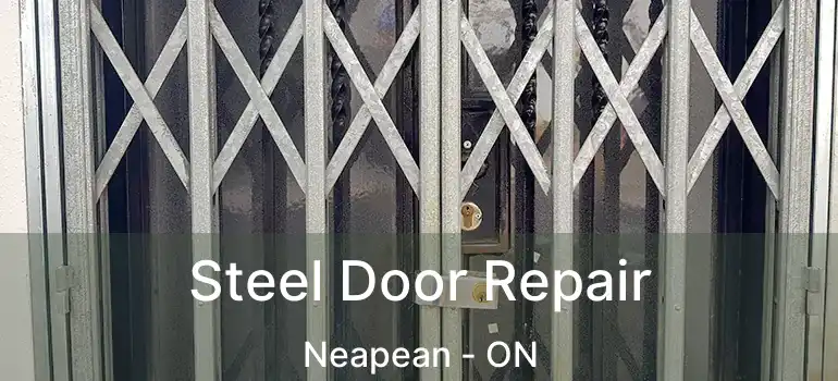 Steel Door Repair Neapean - ON