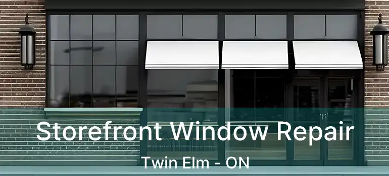  Storefront Window Repair Twin Elm - ON