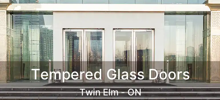  Tempered Glass Doors Twin Elm - ON
