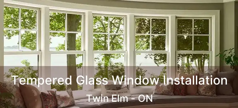  Tempered Glass Window Installation Twin Elm - ON
