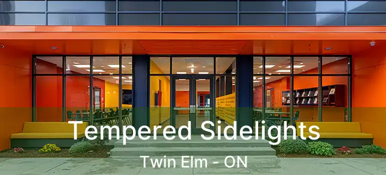  Tempered Sidelights Twin Elm - ON
