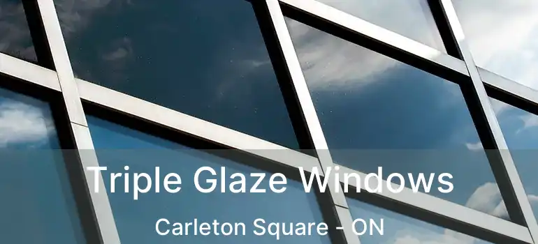  Triple Glaze Windows Carleton Square - ON