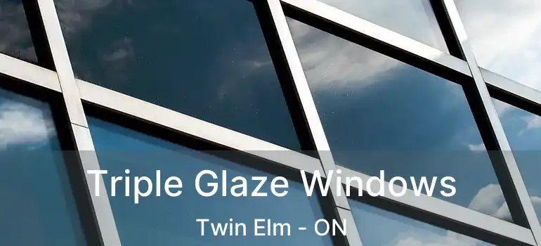  Triple Glaze Windows Twin Elm - ON