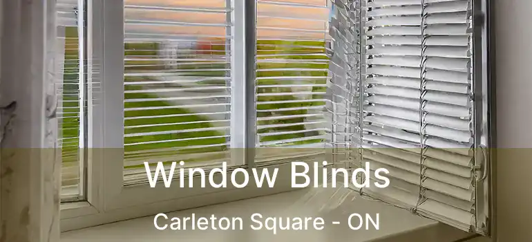  Window Blinds Carleton Square - ON