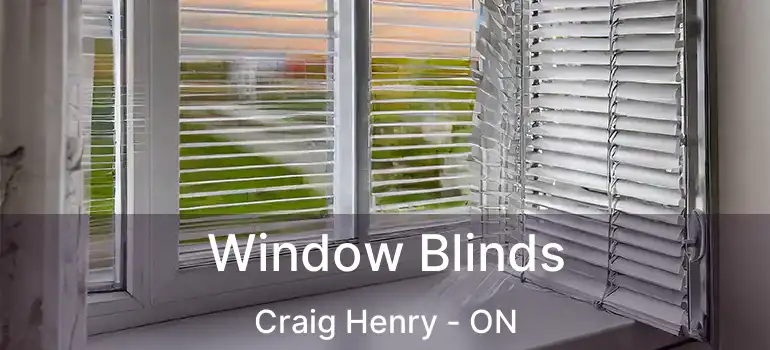  Window Blinds Craig Henry - ON