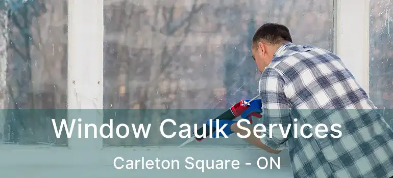  Window Caulk Services Carleton Square - ON