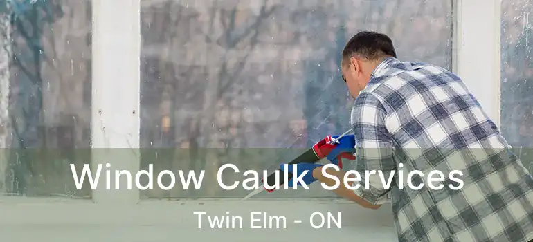  Window Caulk Services Twin Elm - ON