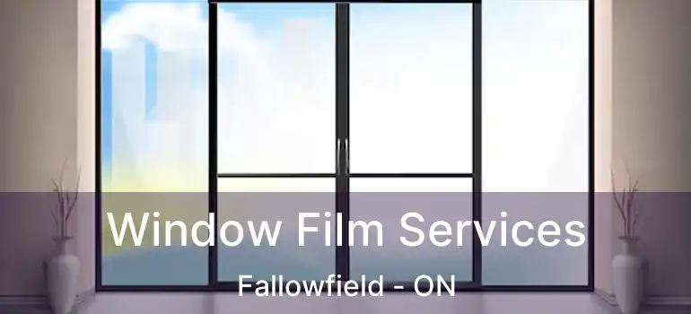  Window Film Services Fallowfield - ON