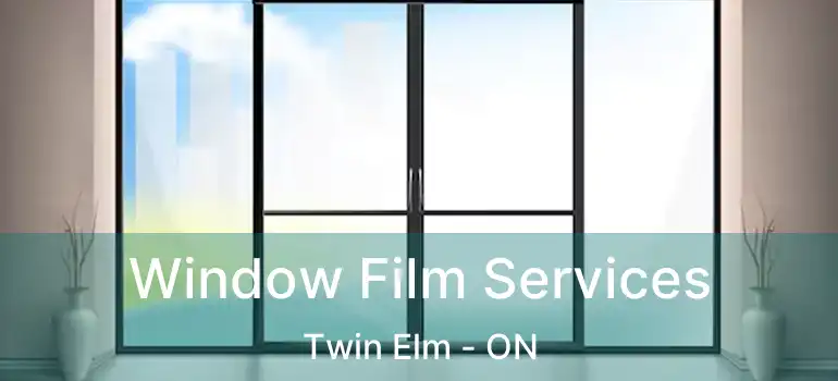 Window Film Services Twin Elm - ON