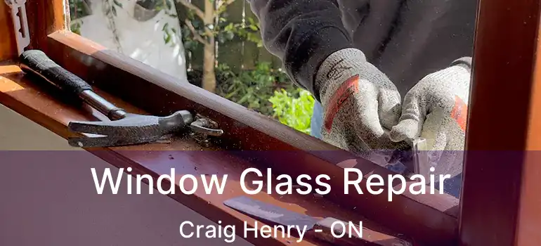  Window Glass Repair Craig Henry - ON