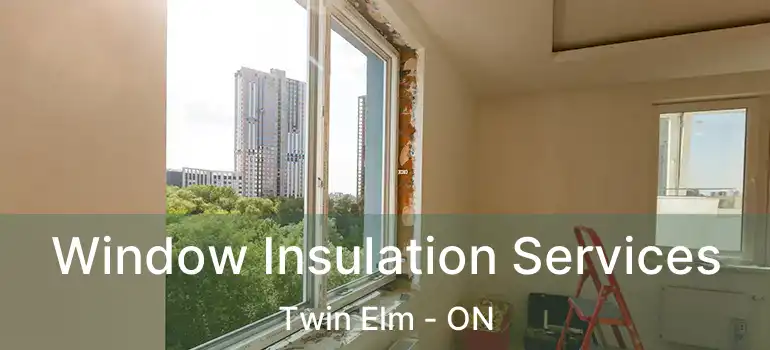  Window Insulation Services Twin Elm - ON