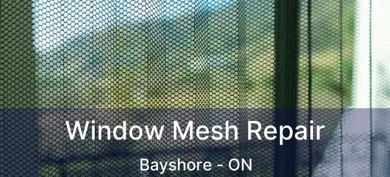  Window Mesh Repair Bayshore - ON