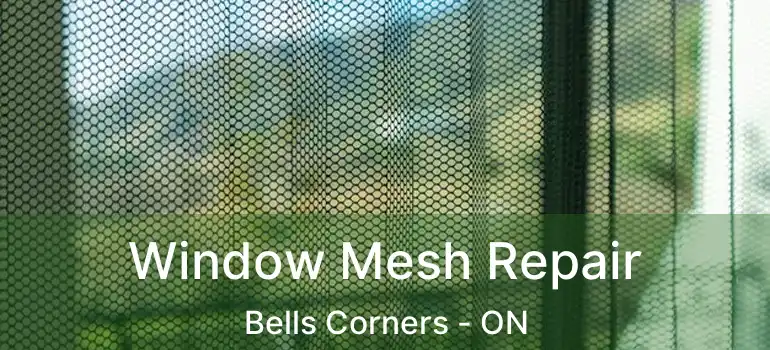  Window Mesh Repair Bells Corners - ON
