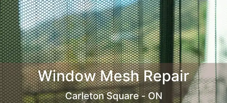  Window Mesh Repair Carleton Square - ON