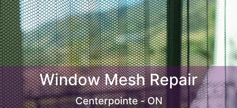  Window Mesh Repair Centerpointe - ON