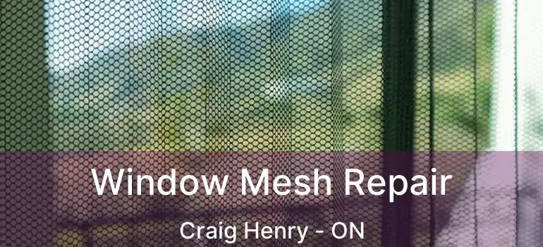  Window Mesh Repair Craig Henry - ON