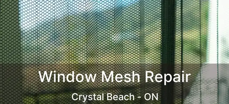  Window Mesh Repair Crystal Beach - ON