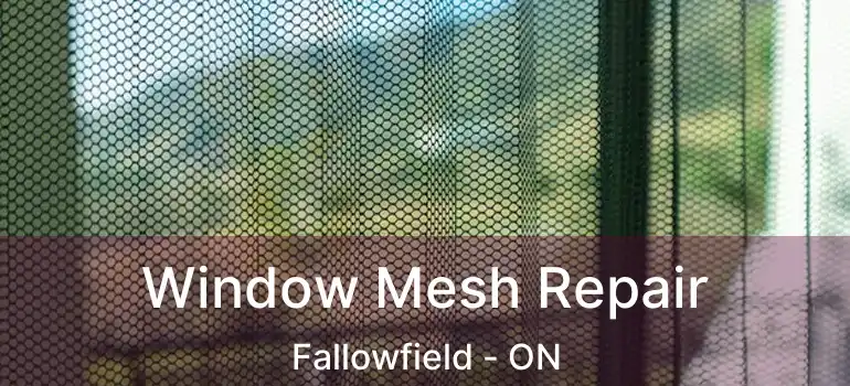  Window Mesh Repair Fallowfield - ON