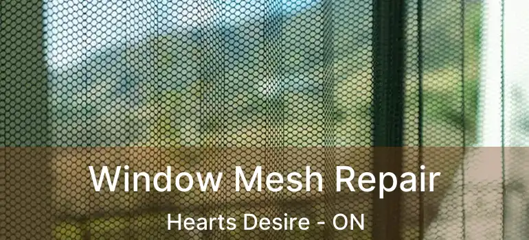 Window Mesh Repair Hearts Desire - ON