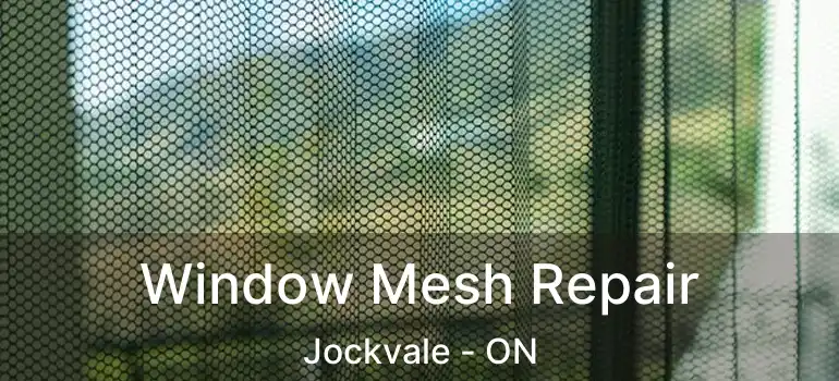  Window Mesh Repair Jockvale - ON