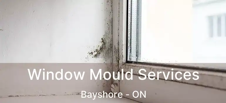 Window Mould Services Bayshore - ON