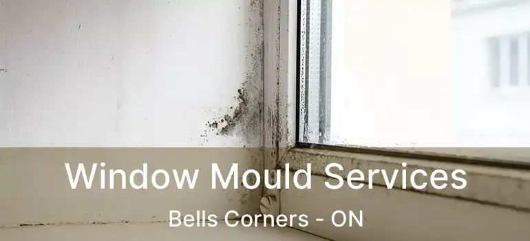  Window Mould Services Bells Corners - ON