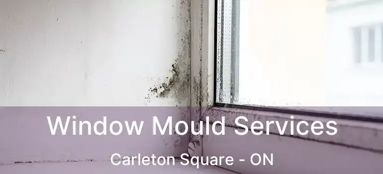  Window Mould Services Carleton Square - ON