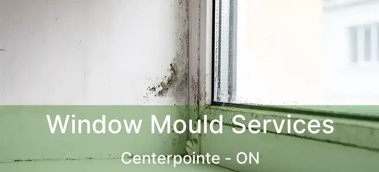  Window Mould Services Centerpointe - ON