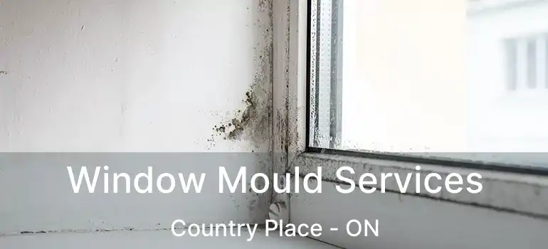 Window Mould Services Country Place - ON