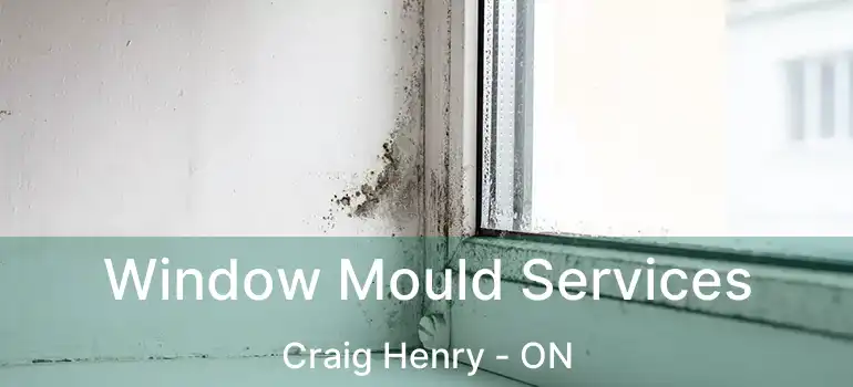  Window Mould Services Craig Henry - ON