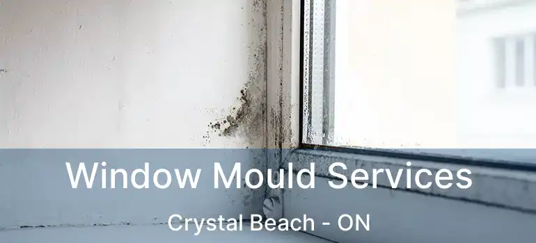  Window Mould Services Crystal Beach - ON
