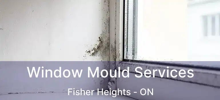  Window Mould Services Fisher Heights - ON