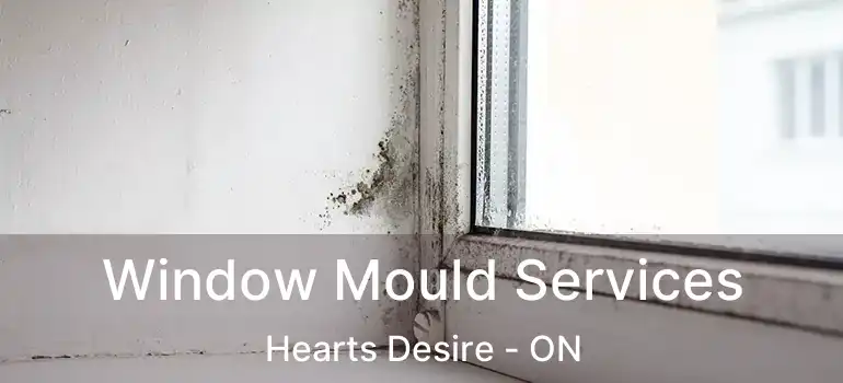  Window Mould Services Hearts Desire - ON