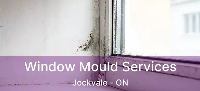  Window Mould Services Jockvale - ON
