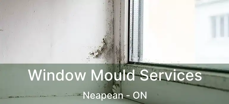 Window Mould Services Neapean - ON