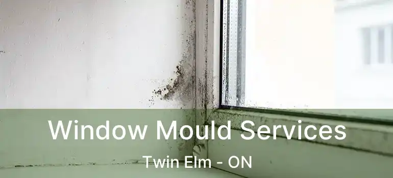  Window Mould Services Twin Elm - ON