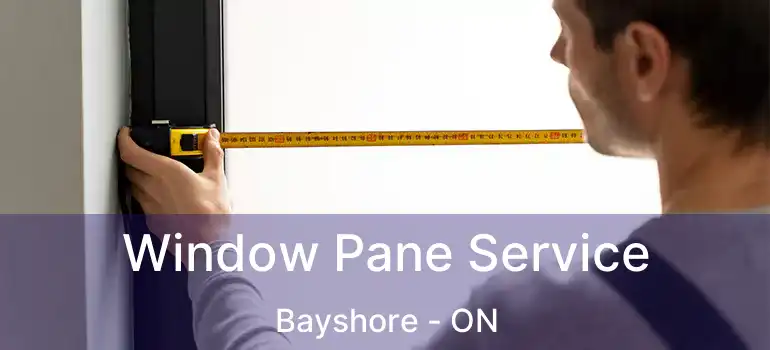  Window Pane Service Bayshore - ON