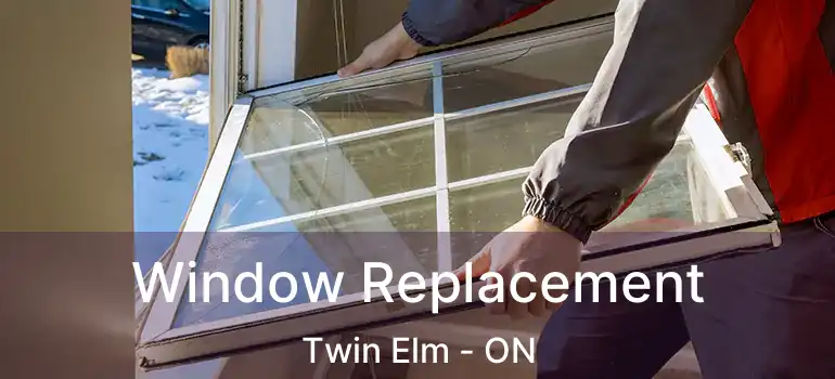  Window Replacement Twin Elm - ON