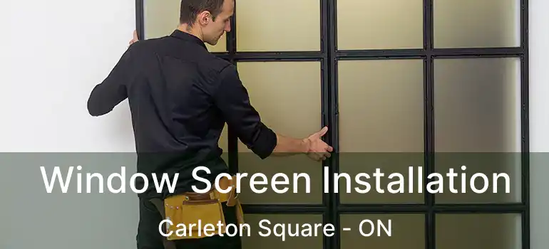  Window Screen Installation Carleton Square - ON