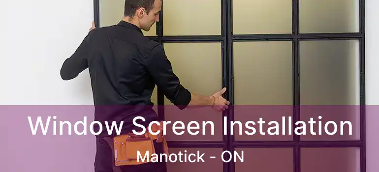  Window Screen Installation Manotick - ON